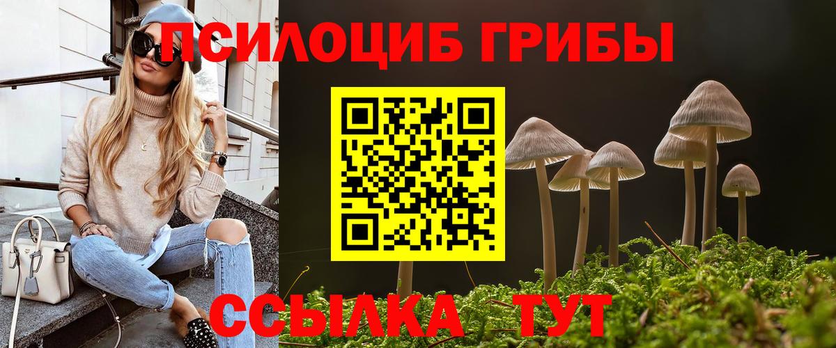 Псилоцибиновые грибы прущие грибы Белебей