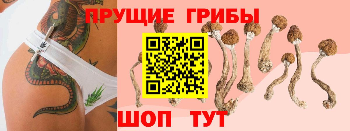 Галлюциногенные грибы Cubensis  Вход с VPN  Белебей 